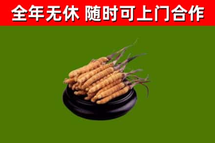惠水县烟酒回收冬虫夏草.jpg